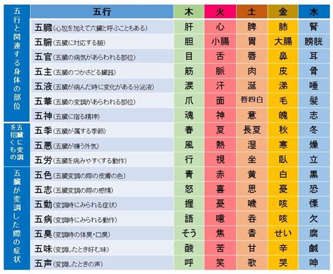 五行色体表とは|五行説の概要と人体との関係 